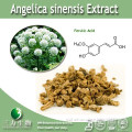 100% Natural Angelica Sinensis Extract 1% Ferulic Acid